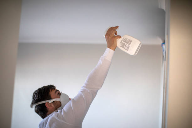 Best Home Mold Removal  in Forreston, IL