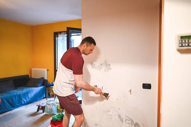 Professional Mold Removal in Forreston, IL